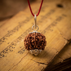 Antah Prosperity & Fortune 7 Mukhi Rudraksha - Nepali bead