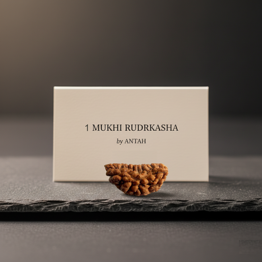 1 - Mukhi Indonesian Rudraksha (Ek Mukhi)