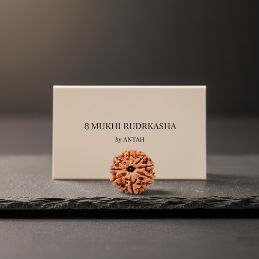 8 - Mukhi Nepali Rudraksh Eight Mukhi