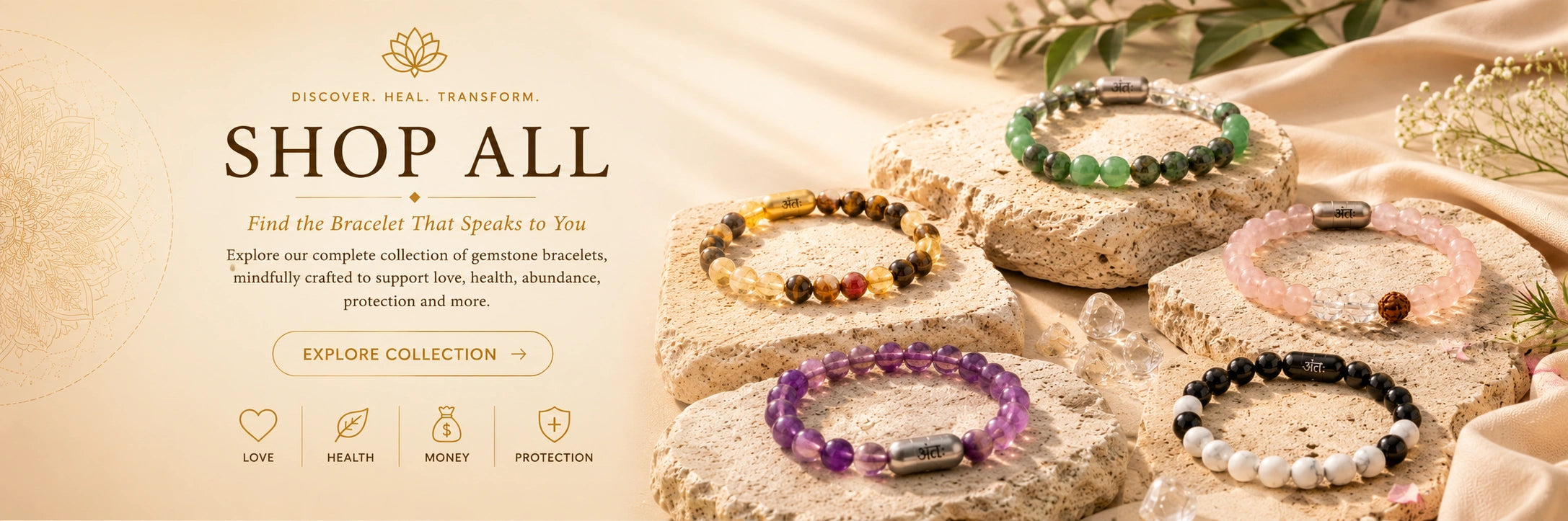 Shop All banner (desktop)