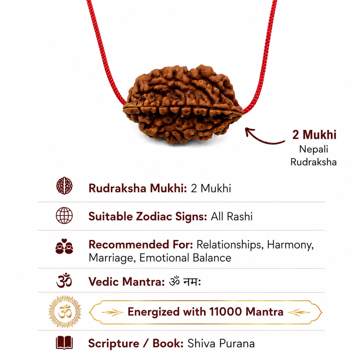 Antah Divine Harmony 2 Mukhi Rudraksha