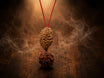 Antah Family Harmony Combo - 2 & 5 Mukhi Rudraksha