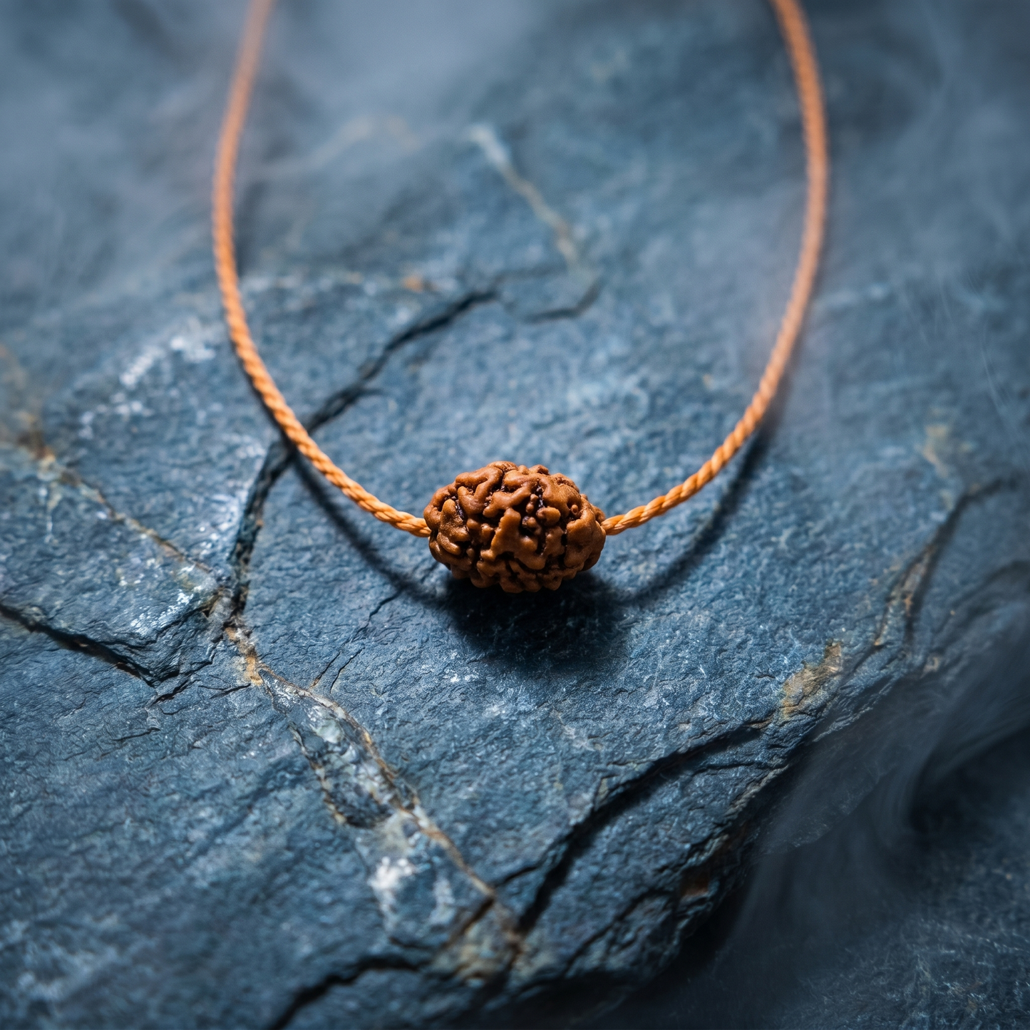 Antah Inner Transformation 3 Mukhi Rudraksha - Indonesian bead close-up