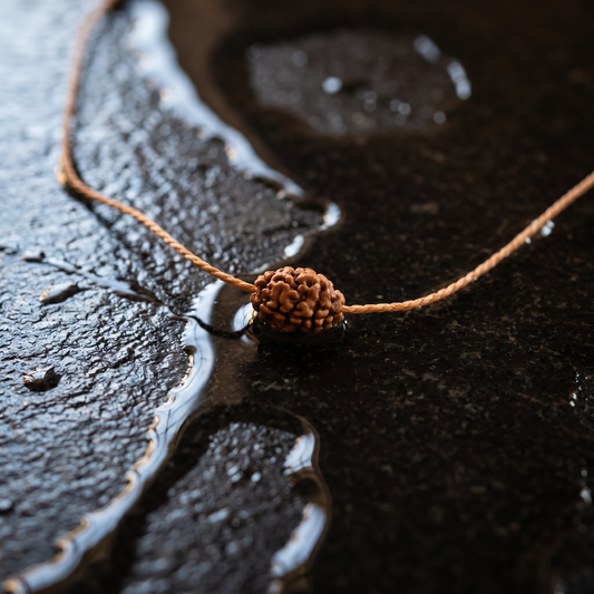 Antah Divine Harmony 2 Mukhi Rudraksha - Indonesian bead