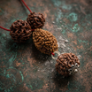 Antah Complete Growth Combo - 2, 4, 6 & 7 Mukhi Rudraksha